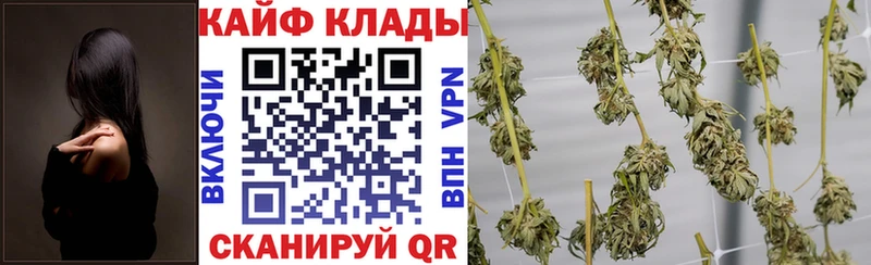 Магазины продажи наркотиков Буй Марихуана  APVP  ГАШ  Меф  Псилоцибиновые грибы  Cocaine 