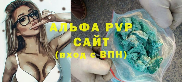 дживик Билибино