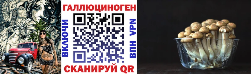 Галлюциногенные грибы GOLDEN TEACHER  MEGA онион  Буй  купить закладку 